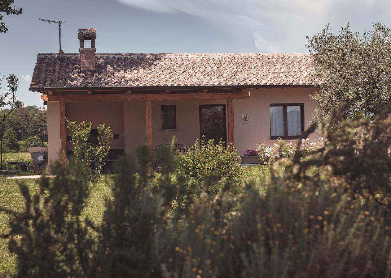 Agriturismo Querceto Mocaiana Exterior photo